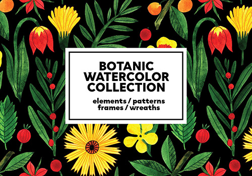 植物水彩画PNG剪贴画合集包 Botanic Watercolor
