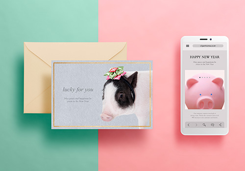 2019猪年品牌VI场景海报设计元素打包下载