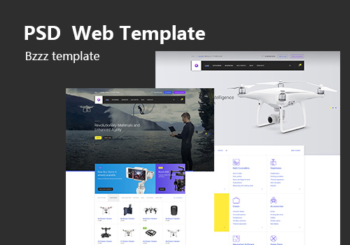 小型电子商务PSD模板Bzzz