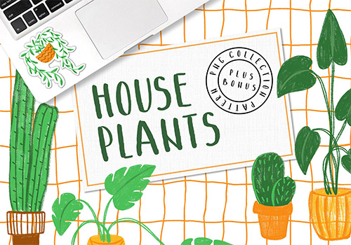 可爱手绘彩铅植物插画元素 house plants