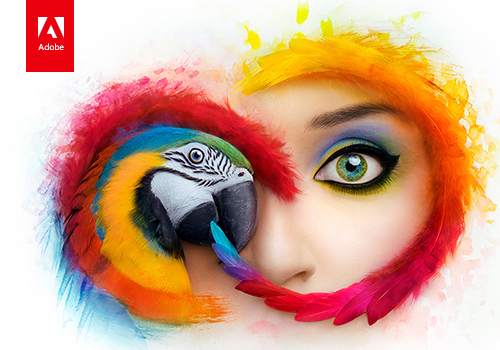 赢政天下 Adobe CC 2019 大师版/独立版下载（更新至 v10.3）