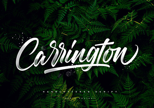 充满活力复古手写书法英文字体 Carrington