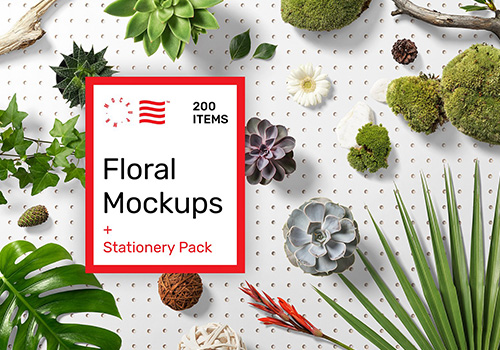 高质量花卉品牌提案样机素材合辑包Floral Mockups + Stationery Pack