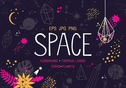 植物矢量插画素材免费下载 Space florariums tropical leaves