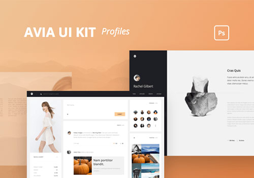 电子商务网站网页设计UI工具包Avia UI Kit