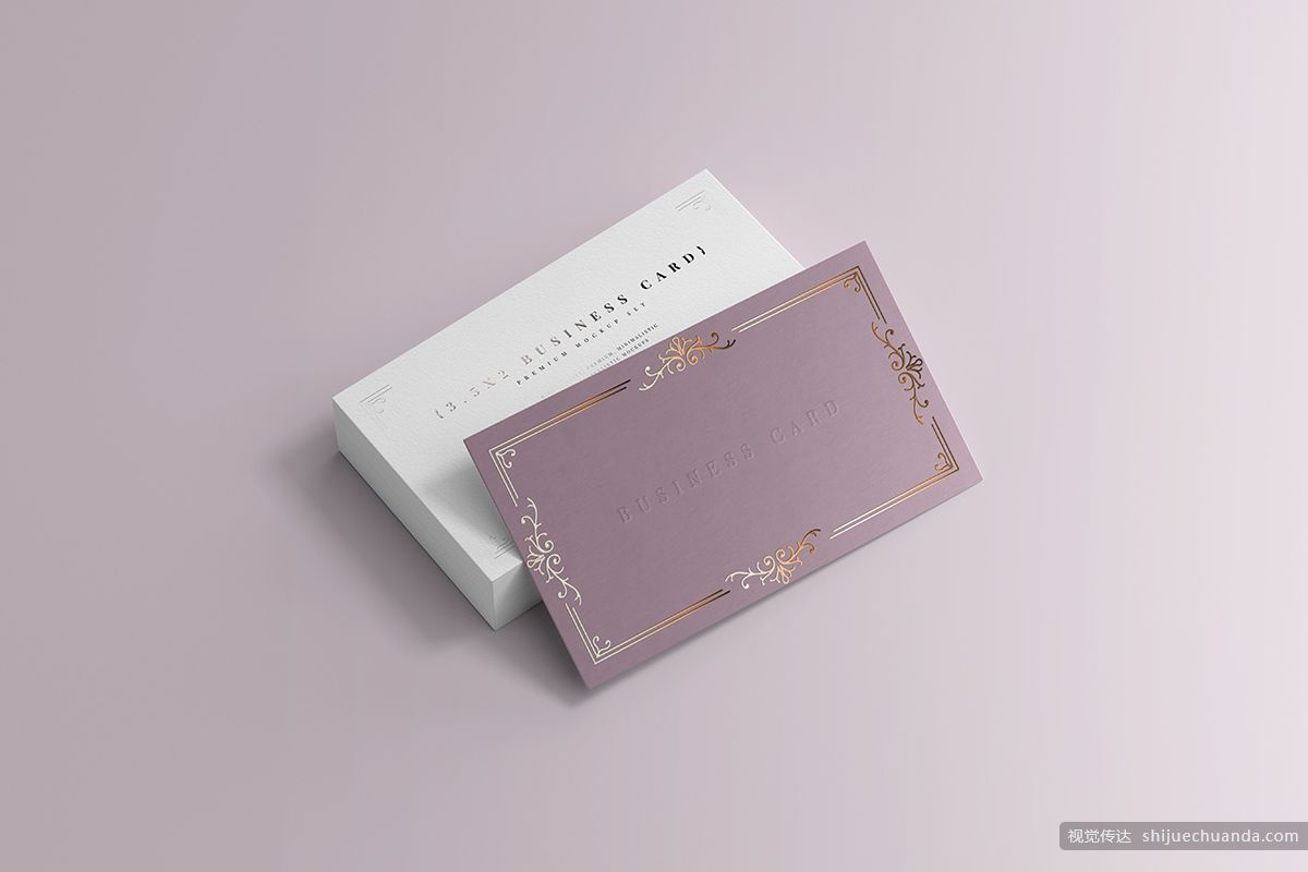 18个名片样机