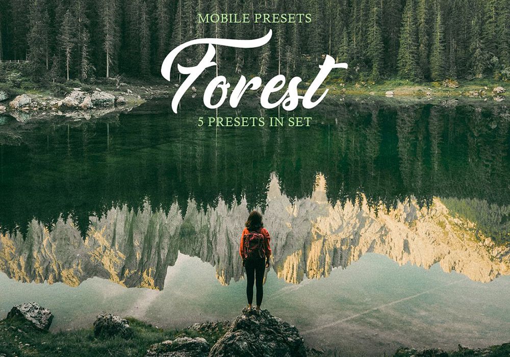 5款绿色森林LR预设 Forest Mobile Presets