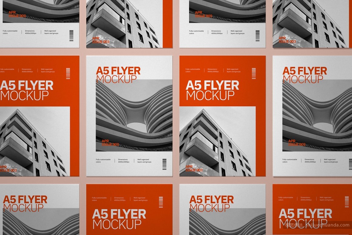 10个A5传单样机集 Flyer Mockup Set