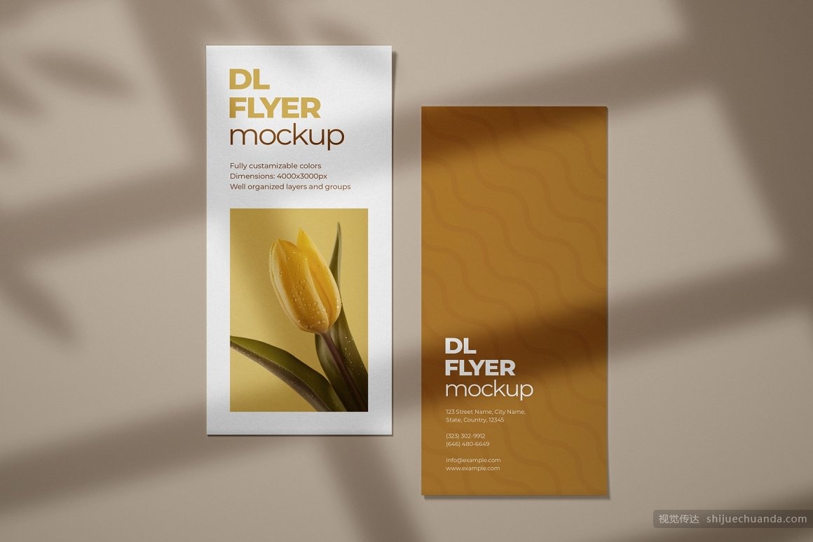 宣传单页样机集 DL Flyer Mockup Set