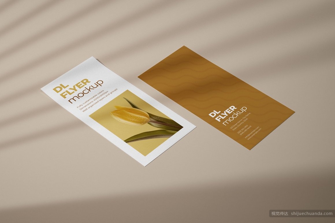 宣传单页样机集 DL Flyer Mockup Set