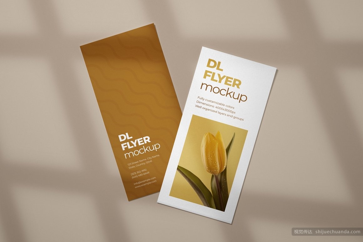 宣传单页样机集 DL Flyer Mockup Set