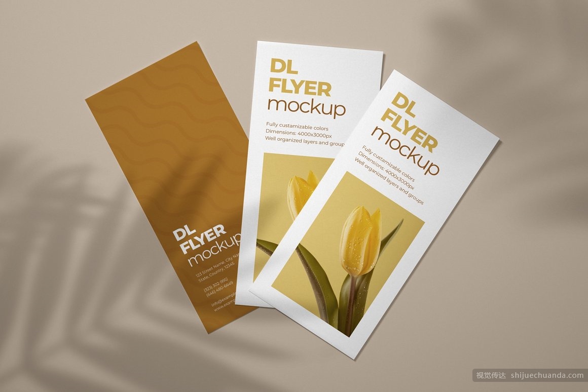 宣传单页样机集 DL Flyer Mockup Set