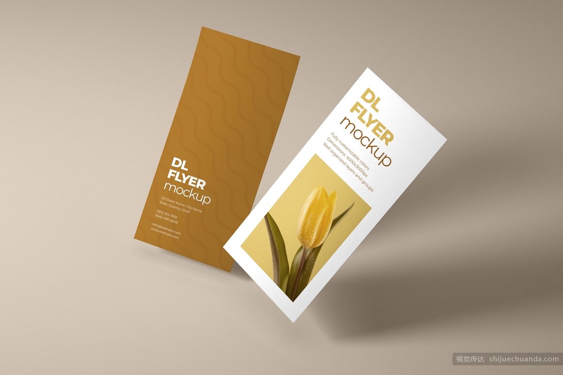 宣传单页样机集 DL Flyer Mockup Set