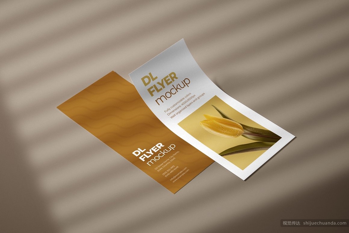 宣传单页样机集 DL Flyer Mockup Set