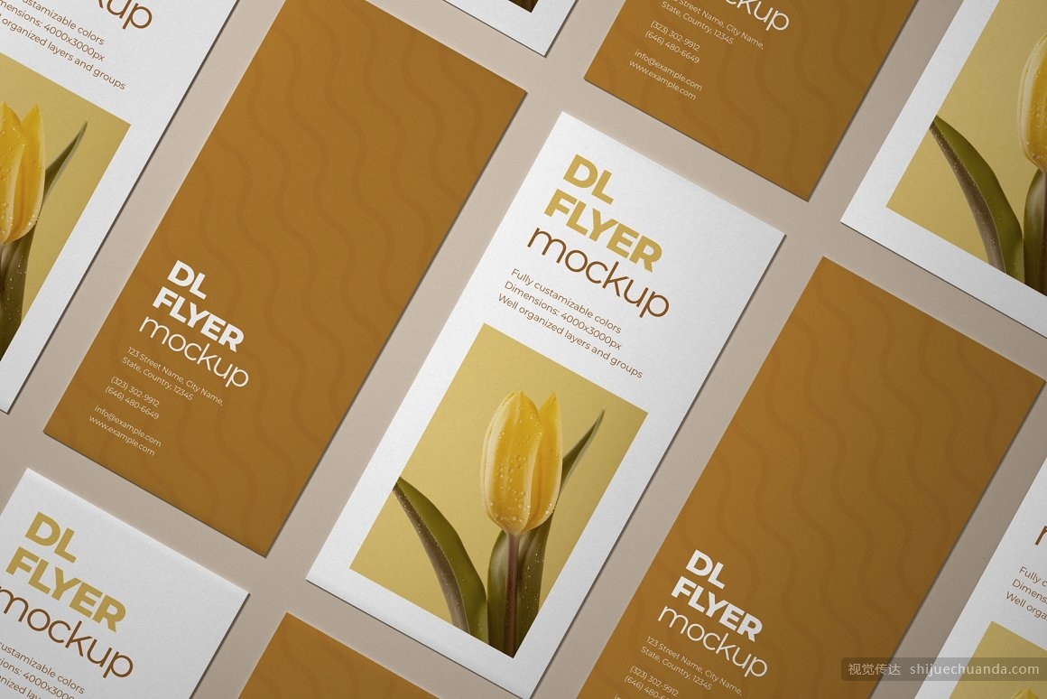 宣传单页样机集 DL Flyer Mockup Set