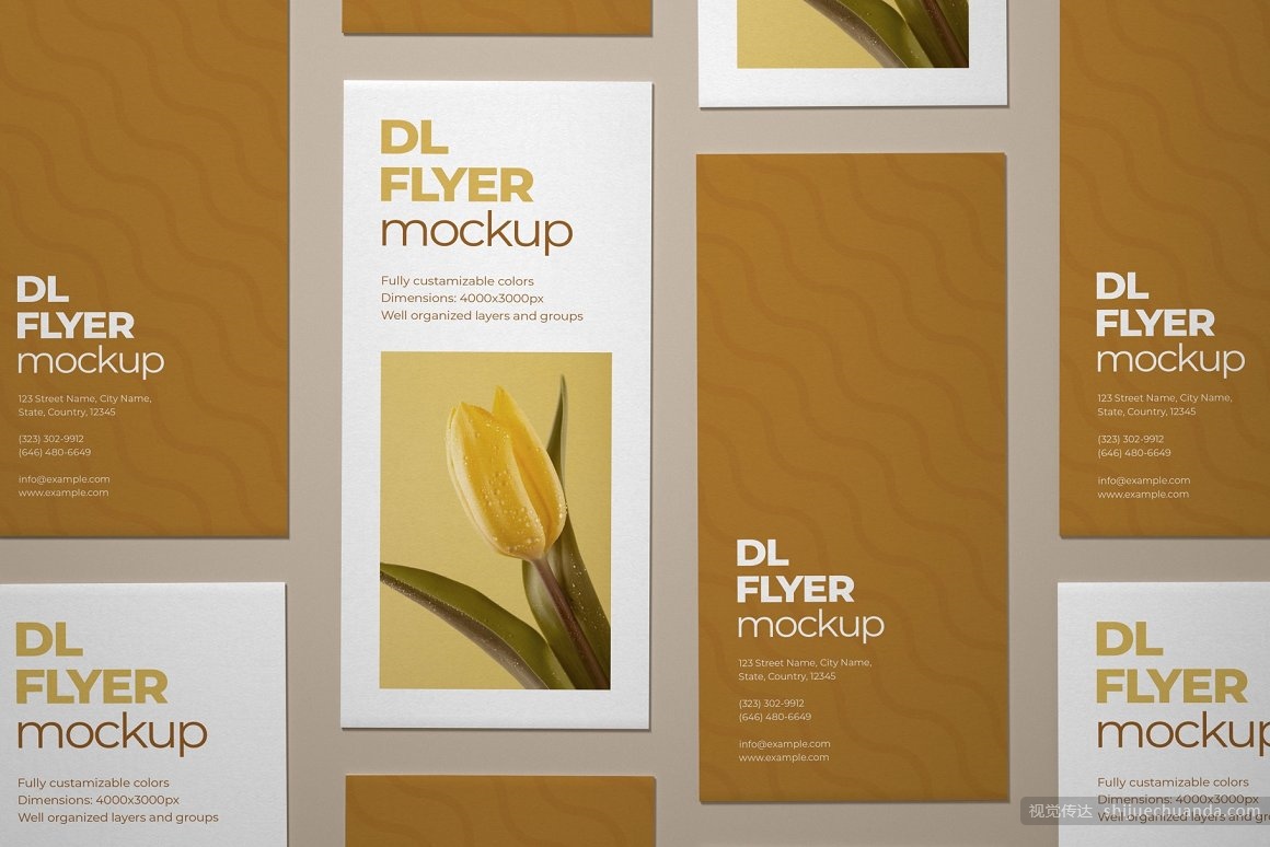 宣传单页样机集 DL Flyer Mockup Set