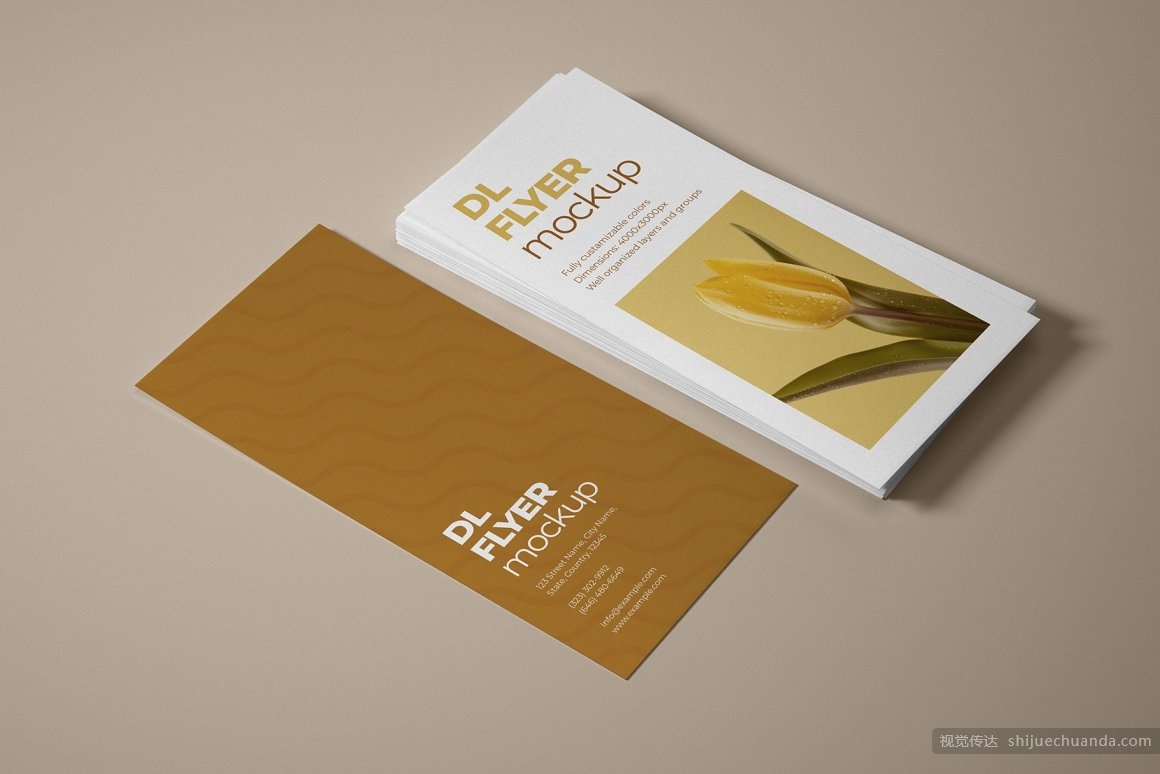 宣传单页样机集 DL Flyer Mockup Set