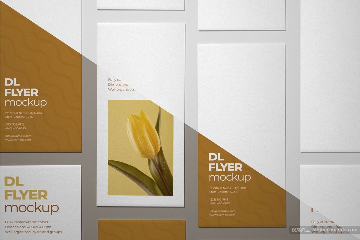 宣传单页样机集 DL Flyer Mockup Set