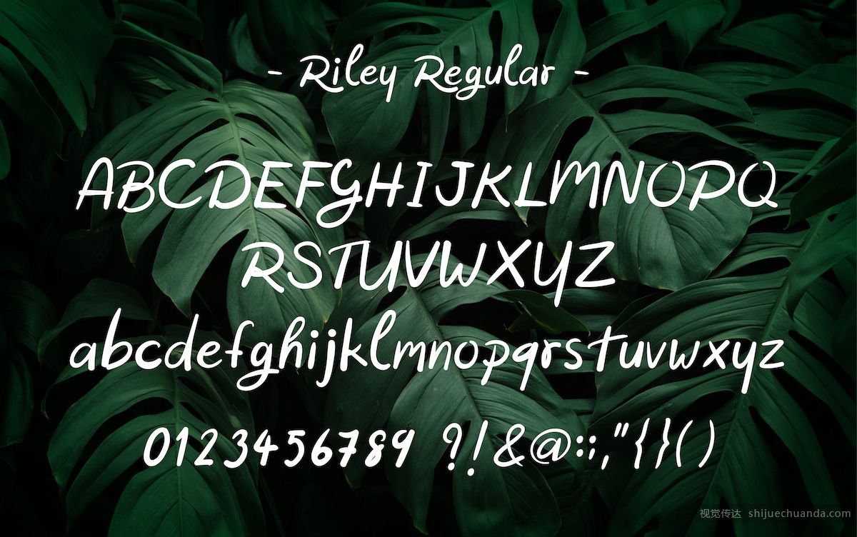 Riley