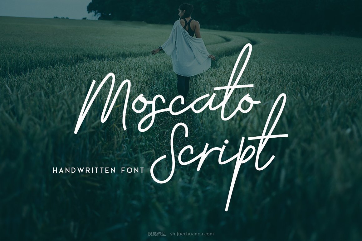 Christmas Font Bundle